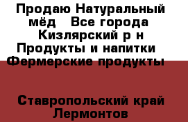 Продаю Натуральный мёд - Все города, Кизлярский р-н Продукты и напитки » Фермерские продукты   . Ставропольский край,Лермонтов г.